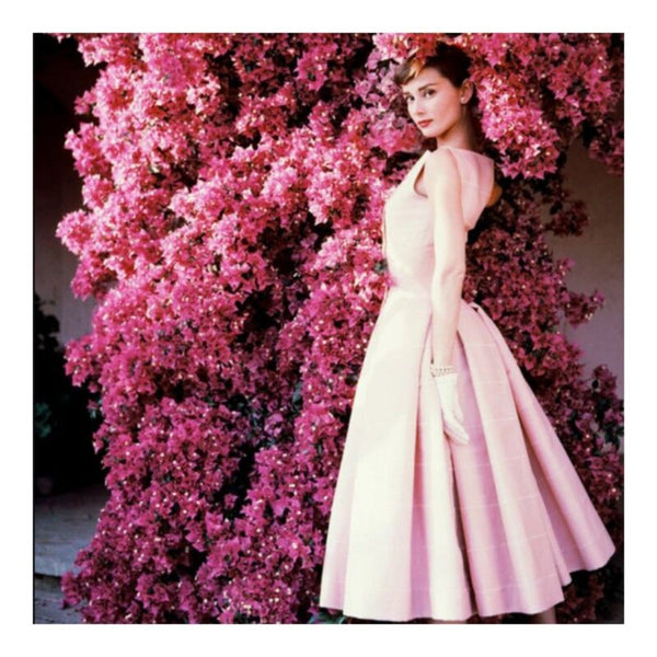 What Was the Lipstick Audrey Hepburn Wore in Funny Face?