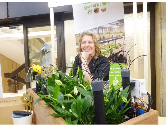 Producing Electricity from Plants: Interview with Plant-E