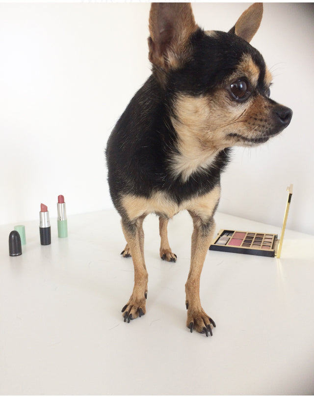 China Will Stop Animal Testing on Beauty Products