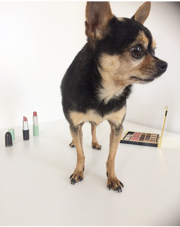 China Will Stop Animal Testing on Beauty Products
