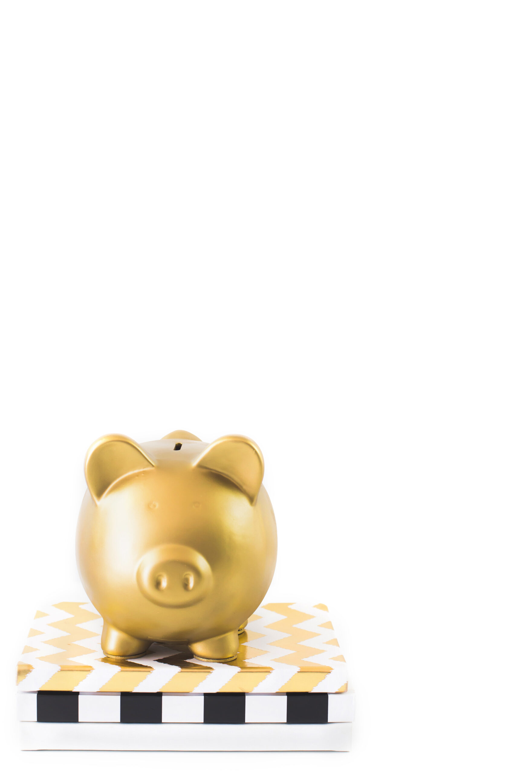 Business Ideas With No Money