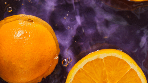 How to Grow Your Own Orange Tree