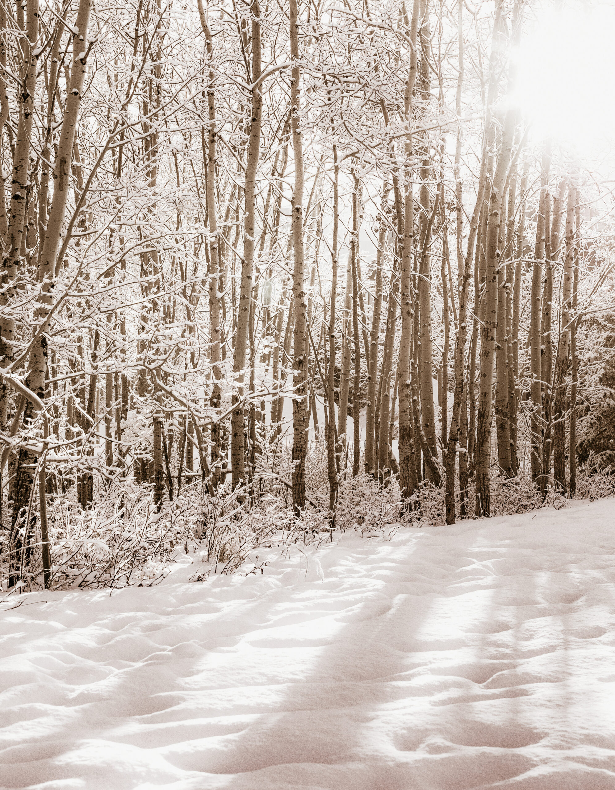 best places to ski in 2025 as a beginner