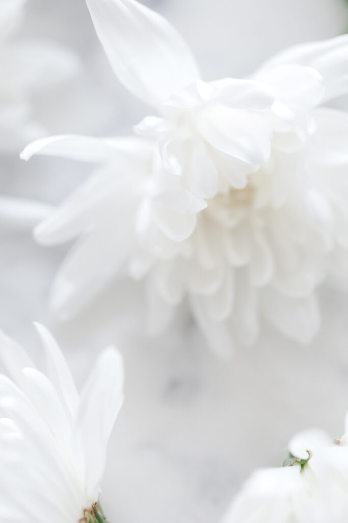 Does Napping Count Towards Your 8 Hours of Sleep