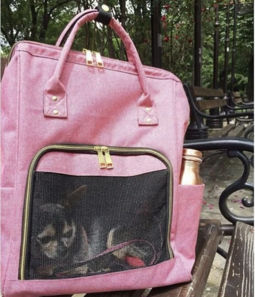 Dog travel bag essentials