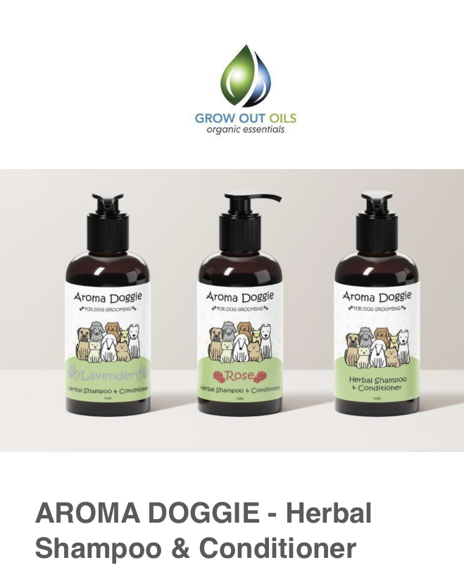 Shanna Bynes The FoundHer Files