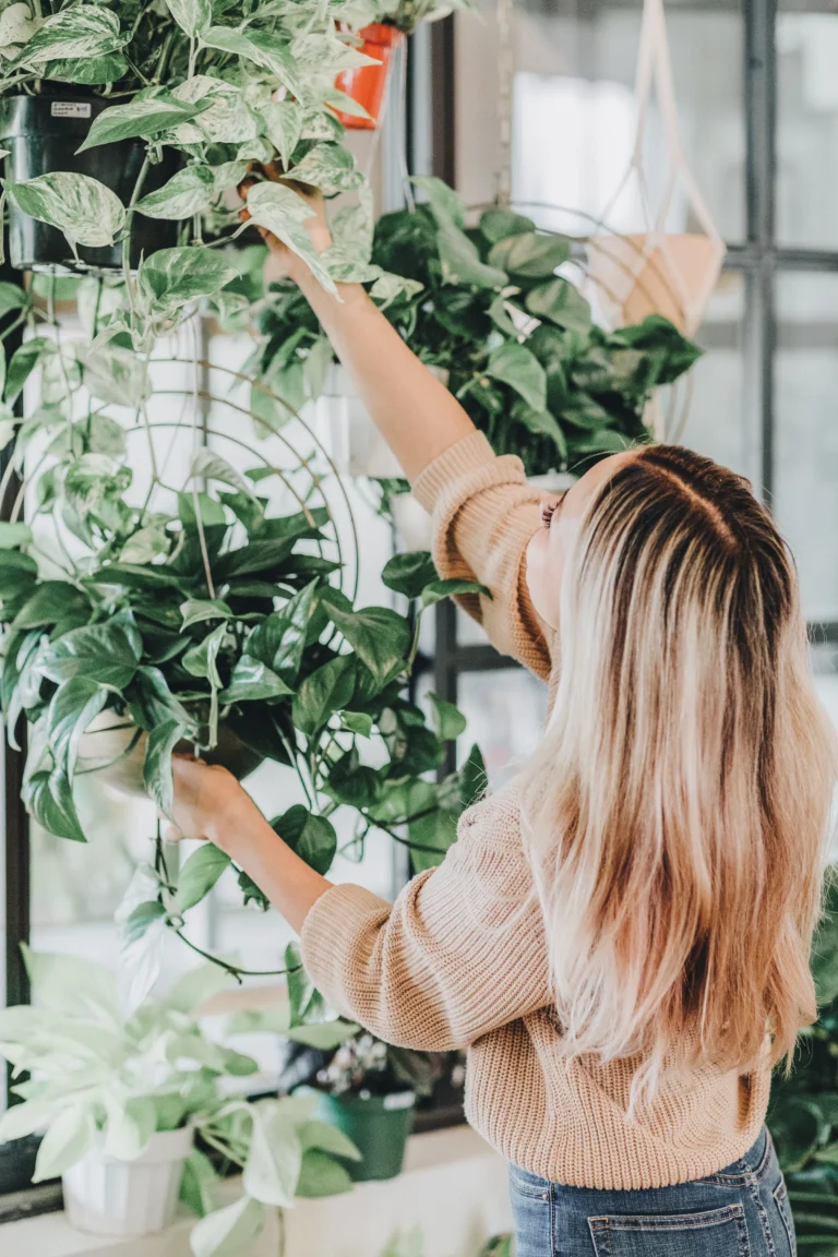 How to Make Potpourri at Home