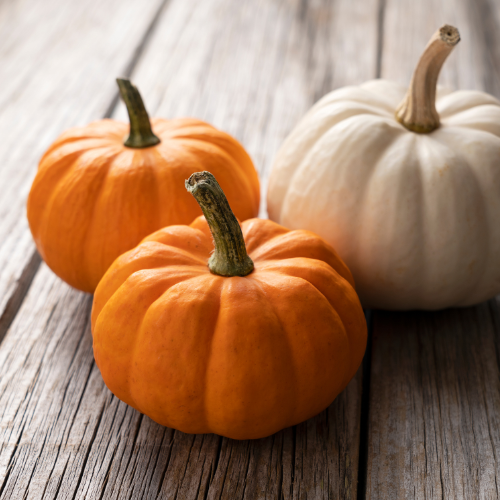 creamy pumpkin pasta recipe