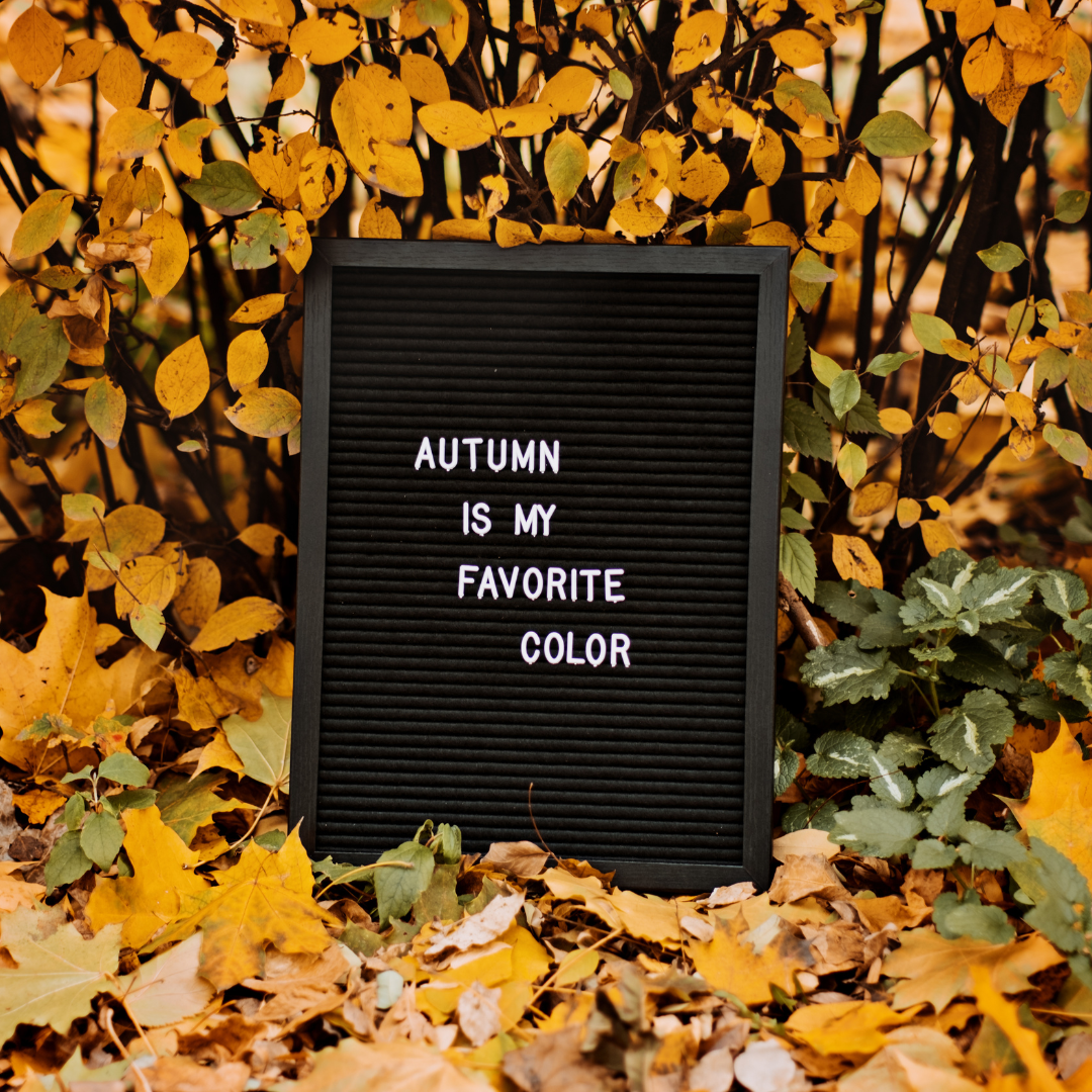 Easy and Cheap DIY Felt Letter Board Tutorial